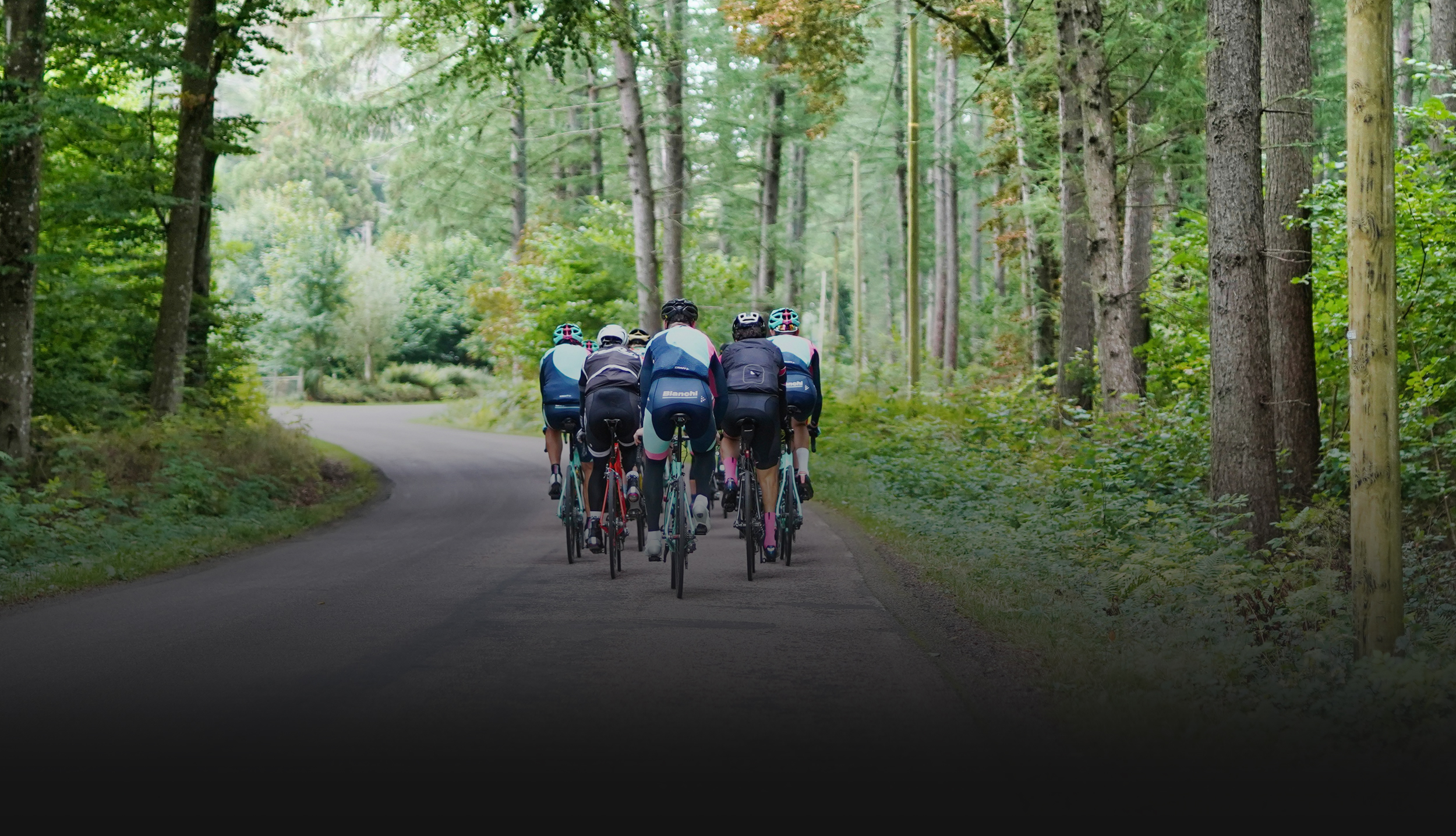 group bike tours in vienna